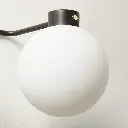 MarraBkPldBrs3BlbVntyScncAVSHS23.webp
